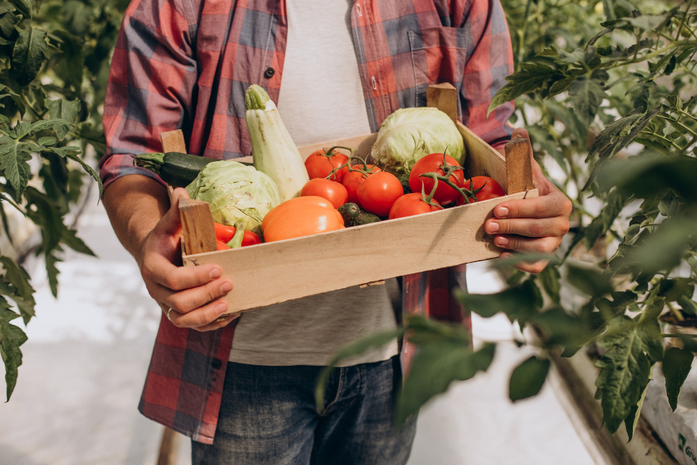 Beneficiile produselor bio